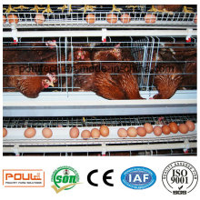 Best Price Professional Design Layer Chicken Cage